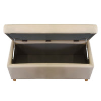 Contemporary Modern Bridgett Blanket Box Foot Stool