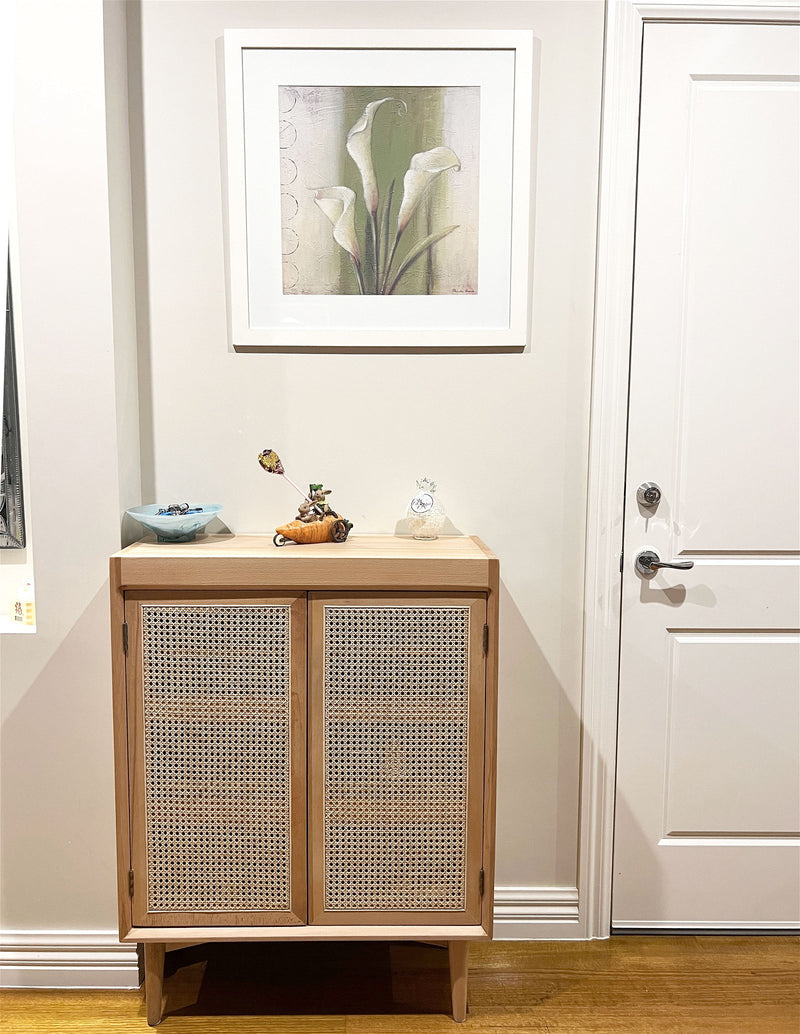 Contemporary Scandinavian Nordic Rattan Storage Cabinet